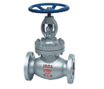 Daily Standard Globe Valve