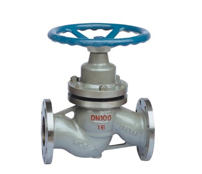 Plunger Globe Valve