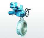 Electric Flange Butterfly Valve
