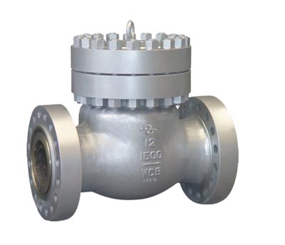 Power Station Swing Check Valve...