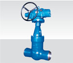 Power Station Gate Valve