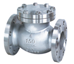 Pound Lift Check Valve
